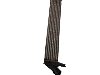 Интеркулер  8200409045   Dacia Logan I 