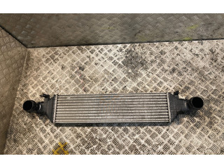 Интеркулер  2045000200, A2045000200   Mercedes-Benz E W212 