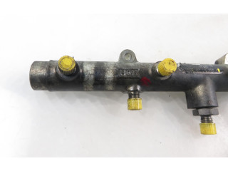 Топливная рампа 059130089D, 059130089D   Audi A6 S6 C6 4F   для двигателя BMK