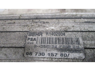 Интеркулер 384P3 Citroen C4 II 2.0
