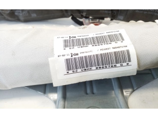 Надувная подушка для крыши 9684873780   Peugeot 5008