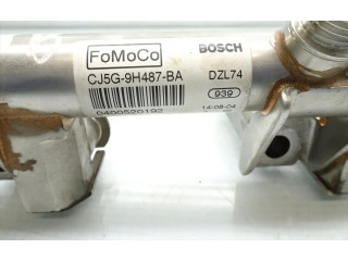 Комплект форсунок CJ5G-9D280-AA, 026155119    Ford Fiesta   