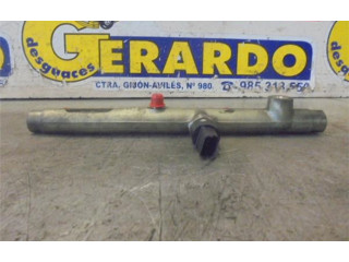 Vstřikovací lišta 9636520780 Peugeot 307