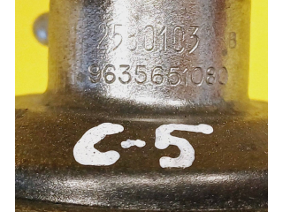 Клапан EGR 9635651080 Citroen C5