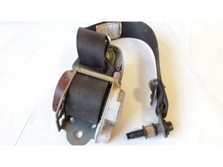 Задний ремень безопасности