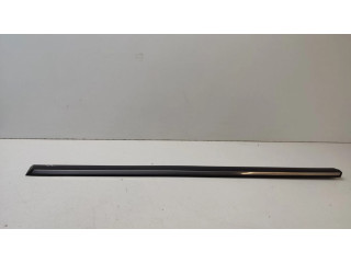 Передняя отделка дверей (молдинги)