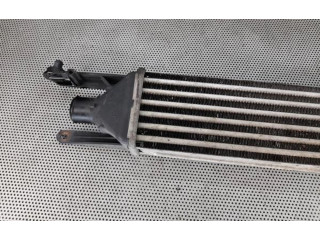 Интеркулер     Fiat Punto Evo 