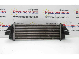 Интеркулер Ford Transit - Tourneo Connect