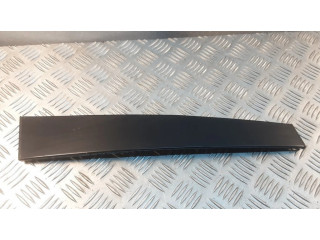 Передняя отделка дверей (молдинги)