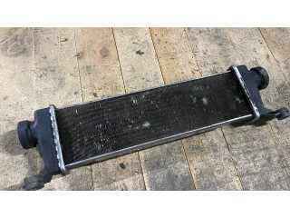 Интеркулер a1685000000, 1685000000 Mercedes-Benz A W169 2.0