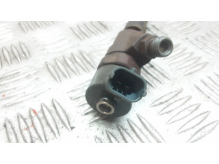 Форсунка 9641742880, 0445110076 Citroen Xsara для дизельного двигателя 2