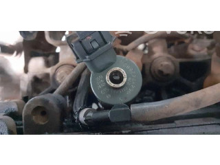 Форсунка 0445110076    Peugeot Expert  RHZ 