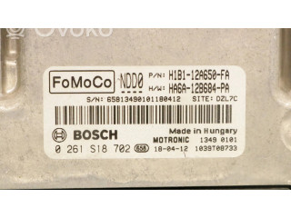Блок управления двигателя 0261S18702, H1B1-12A650-F   Ford Fiesta