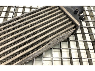 Интеркулер Fiat Linea