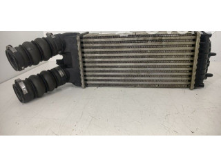 Интеркулер  00000384G5   Citroen Berlingo 