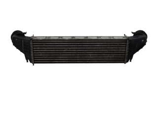 Vstřikovač 17517791231 BMW X5 E53 M57D30_306D2