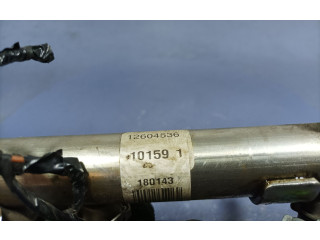 Vstřikovací lišta 12604536, 12604536 Chevrolet Captiva