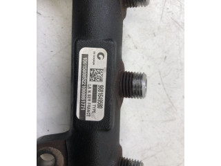 Топливная рампа 9681649580, 9658227880 Citroen C4 Grand Picasso