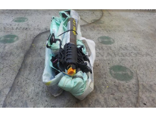 Подушка безопасности двери 3C0880741E Volkswagen Passat Alltrack