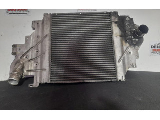 Интеркулер 8200252209 Renault Clio II