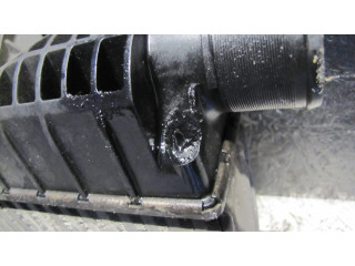 Интеркулер 14461EM00A, RAD045 Nissan NV200 1.5