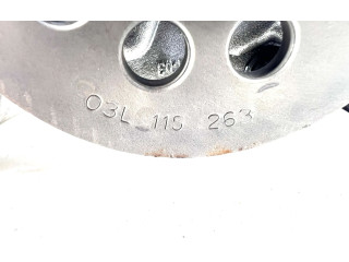 Čerpadlo oleje 03L115105B, 1004071823 Volkswagen Transporter - Caravelle T5 CAAC