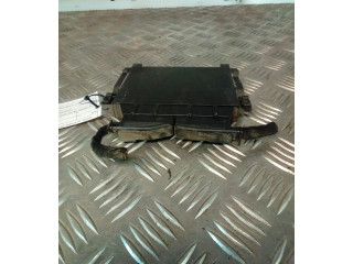 Řídící jednotka A0295456132, 0263004048 Mercedes-Benz S W220