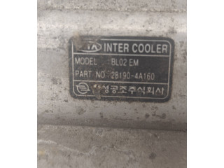 Интеркулер  BL02EM, 281904A160   KIA Sorento 