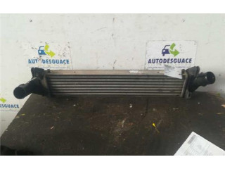 Интеркулер Dacia Sandero