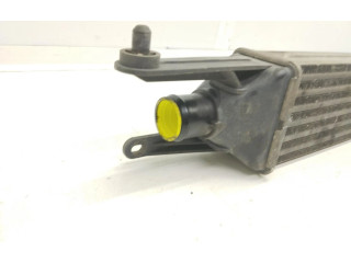 Интеркулер  866452100   Fiat Punto (199) 