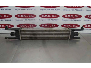 Интеркулер     Fiat Punto (199) 