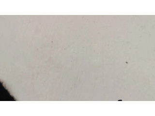 Другой проводник