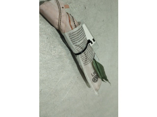 Подушка безопасности в сиденье 5G0880241C Volkswagen Golf VII