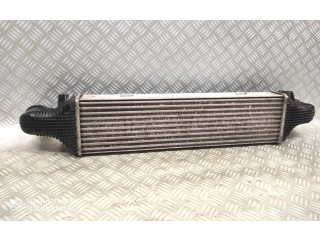 Интеркулер A2045000200 Ford Fiesta