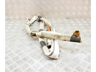 Надувная подушка для крыши