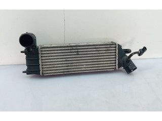 Интеркулер  1489396080, 870229HF   Citroen C8 