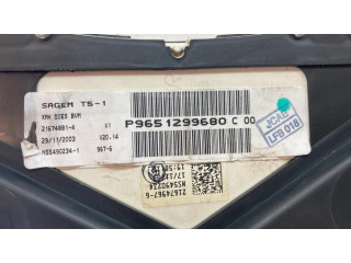 Přístrojová deska Peugeot 307 2002 P9651299680