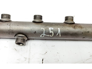 Топливная рампа A6420702595, 1134903   Mercedes-Benz R W251   для двигателя 642872