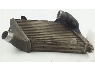 Интеркулер     Audi A8 S8 D3 4E 