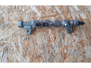 Топливная рампа 0445214254, 55234039   Fiat Freemont  