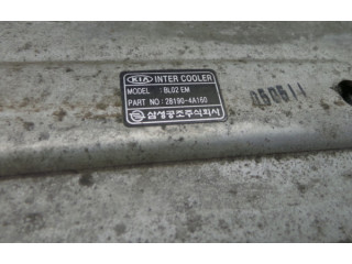 Интеркулер  281904A160, BL02EM   KIA Sorento 