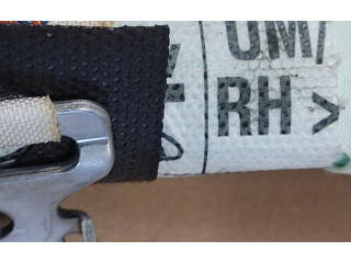 Боковая подушка безопасности 85020C5600, UMCRPJ9E0Y0274   KIA Sorento