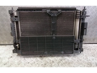 Vstřikovací lišta    Citroen C4 Grand Picasso     