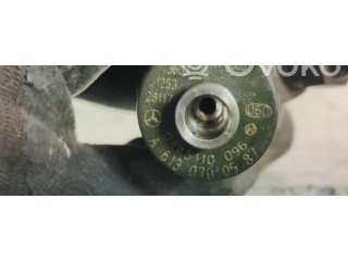 Vstřikovač 0445110096 Mercedes-Benz S W220 613960