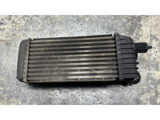 Интеркулер  1498987080   Fiat Scudo 1.6