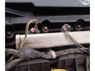 Vstřikovací lišta Dodge Caliber