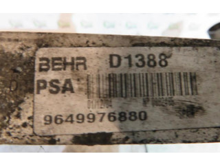 Интеркулер 0384H9 Peugeot 607