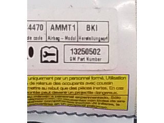 Боковая подушка безопасности 13250502   Opel Meriva B