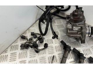 Комплект системы впрыска топлива 0445010806, 059130277CR    Audi A6 S6 C7 4G  TDI 