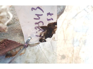 Интеркулер     Volkswagen PASSAT B4 